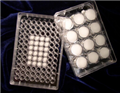 3D Insert-PCL（聚已内酯3D培养支架培养板）